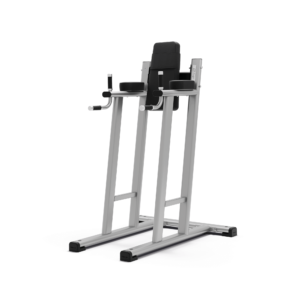 Exigo Leg Raise / Dip Station