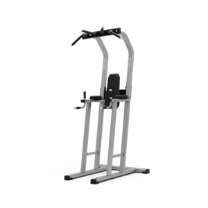 Exigo Chin Dip Leg Raise Station