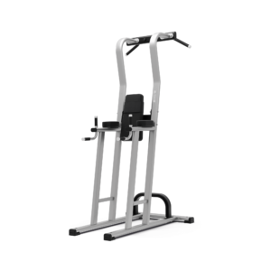 Exigo Rear Chin Dip Leg Raise Station