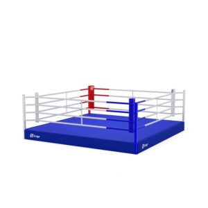 Exigo Training Boxing Ring