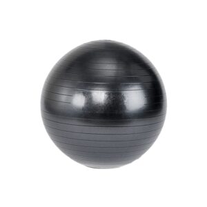 Rebar Stability Ball